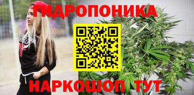 мдпв Ипатово
