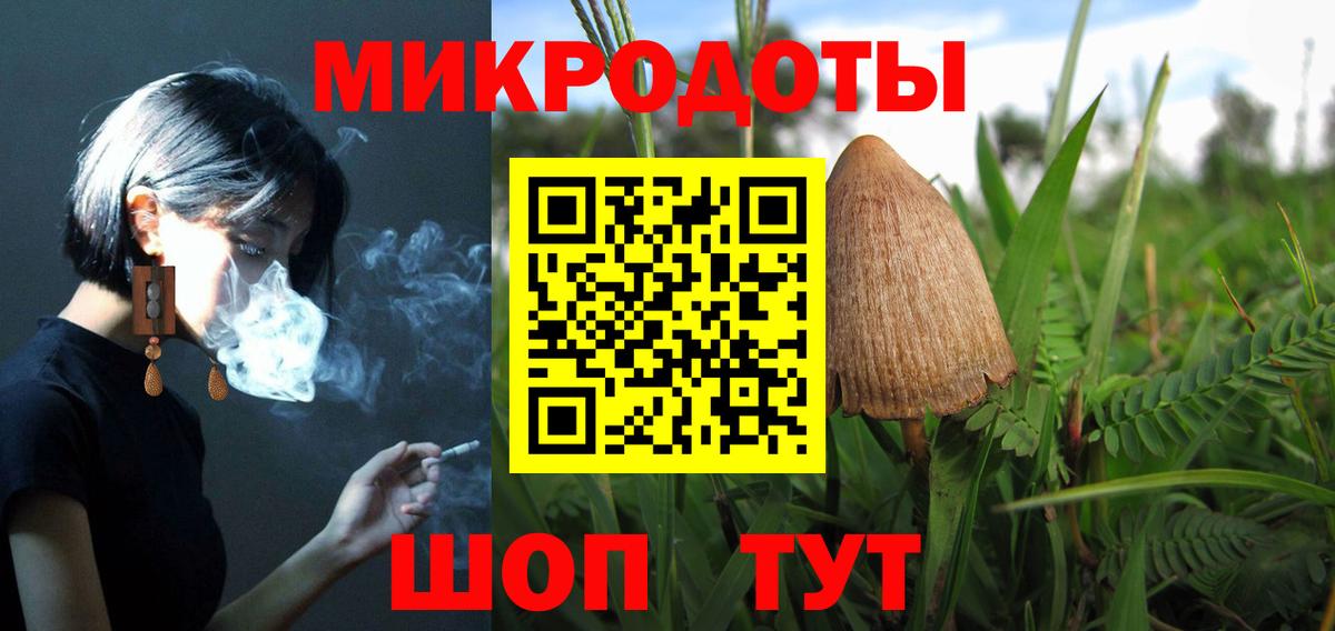 Галлюциногенные грибы Cubensis Кузнецк